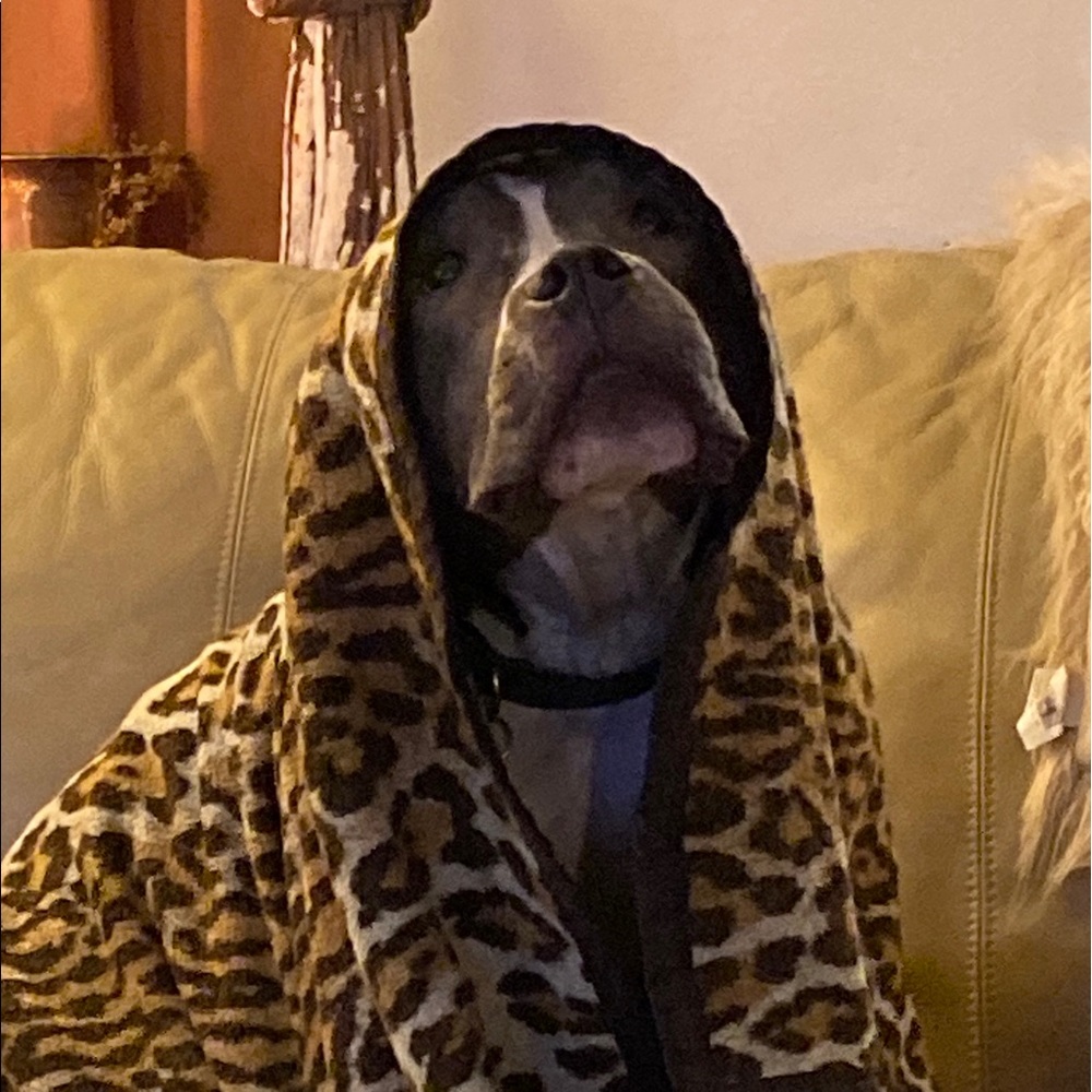 Meet your Posher, Olivia